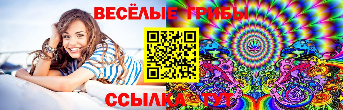 купить наркоту  Вход с VPN  Озёрск  Псилоцибиновые грибы MAGIC MUSHROOMS 